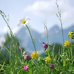 Blumenwiese Apartmán *