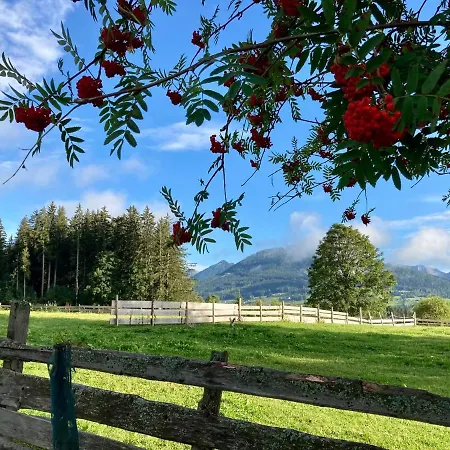 Apartamento Blumenwiese *