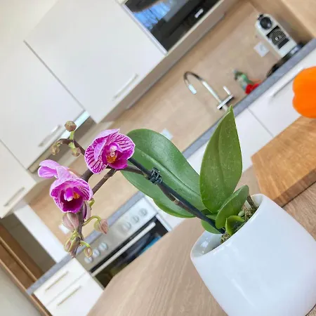 Blumenwiese * رامساو أم داتشستين