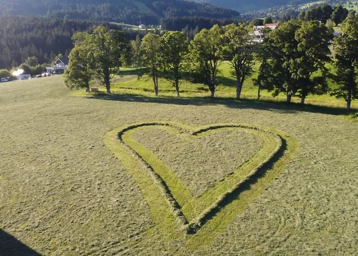 Blumenwiese Ramsau am Dachstein