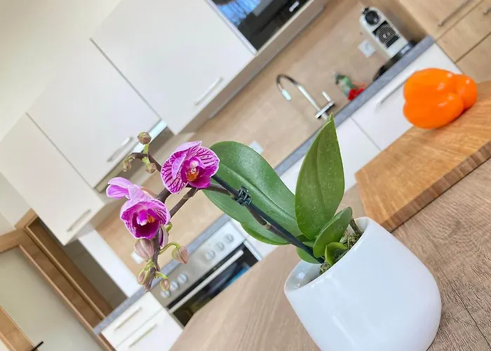 Blumenwiese * Ramsau am Dachstein